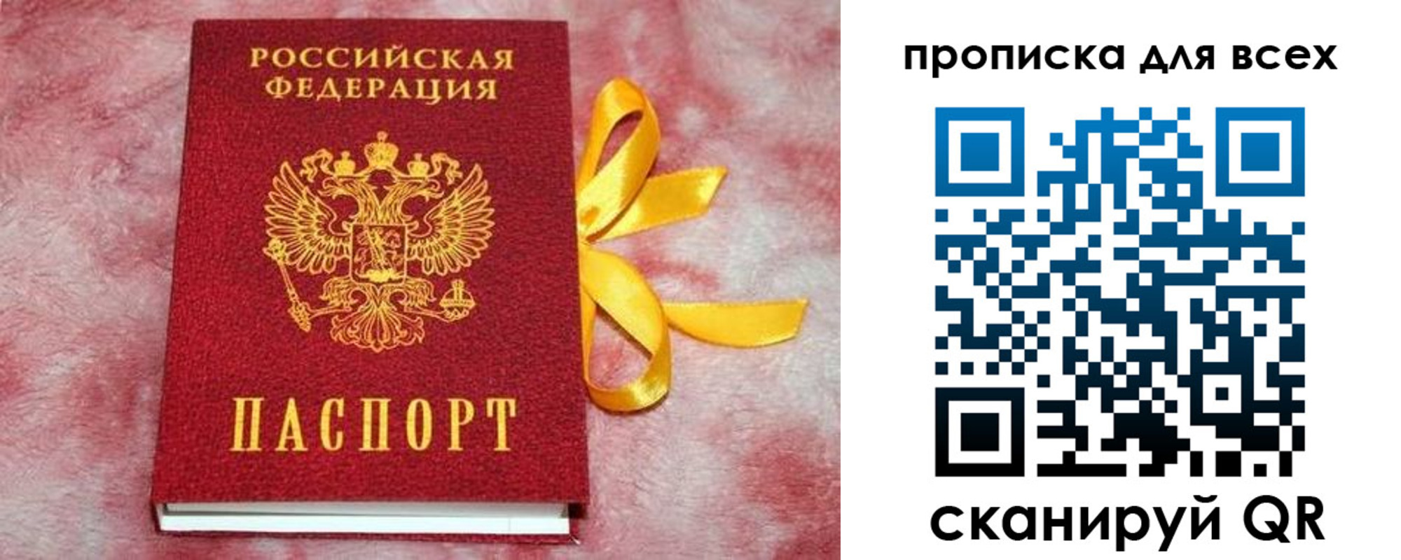 прописка для школы в Коряжме